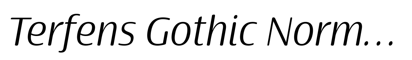 Terfens Gothic Norm Book Italic